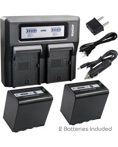 Kastar Fast Dual LCD Charger + 2X Battery Replacement for Panasonic VW-VBD78 AJ-PX270 AJ-PX270PJ AJ-PX298 AJ-UX180 AJ-UX90 HC-MDH2 (MDH2GK, MDH2GK-K, MDH2M) HC-X1000 HC-X1 HDC-Z10000 Z10000GK Z10000P